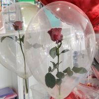 Rosen im Ballon Eventaktion mieten