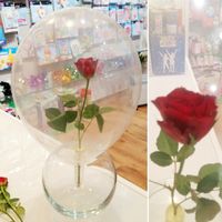Blumen verschenken rote Rosen zur Er&ouml;ffnung Feier Kunden Leverkusen